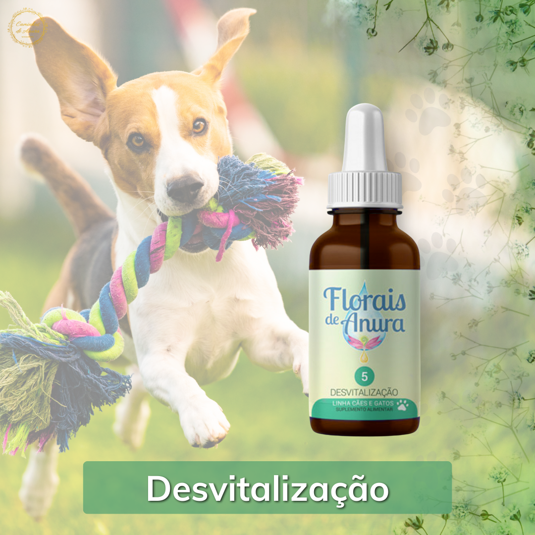Floral 5 - Desvitalização (Cães e Gatos) (2)