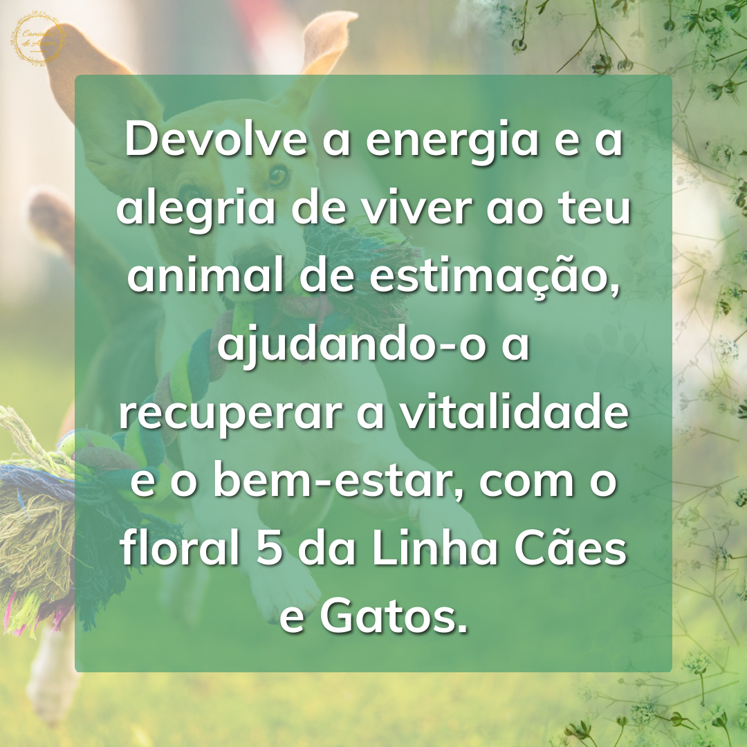 Floral 5 - Desvitalização(Cães e Gatos)