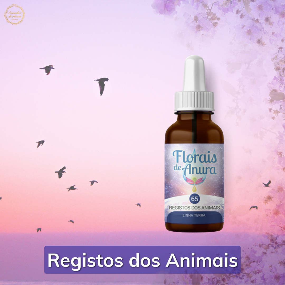 Floral 65 - Registos dos Animais (2)