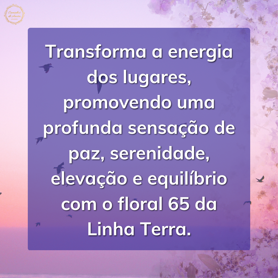 Floral 65 - Registos dos Animais (3)